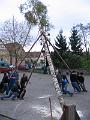 Maibaum 2008